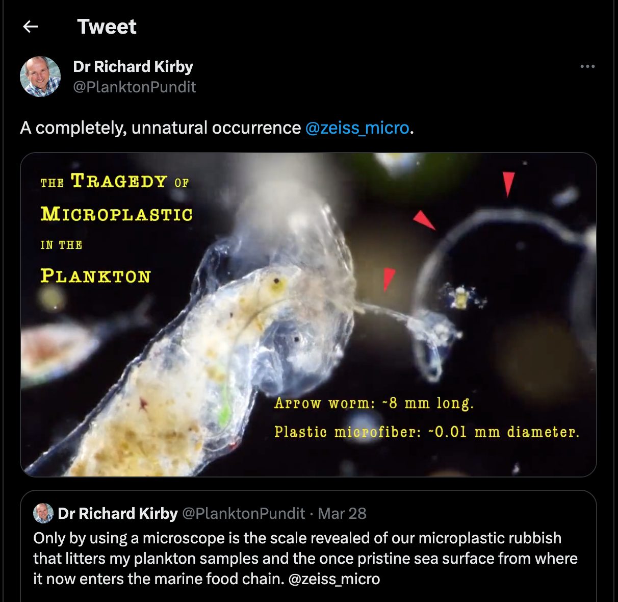 Synthetic microfibers are death traps for plankton.